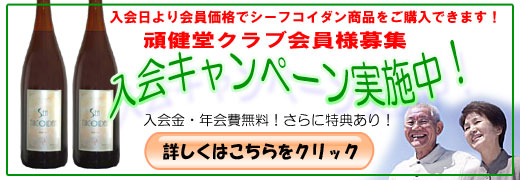 �V�[�t�R�C�_�������̔���