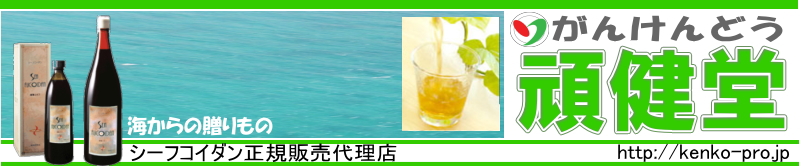 ���K�̔��㗝�X�t�R�C�_���̊挒��